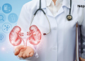 What Is Nephrology