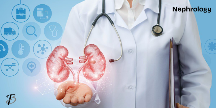 What Is Nephrology