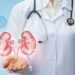 What Is Nephrology