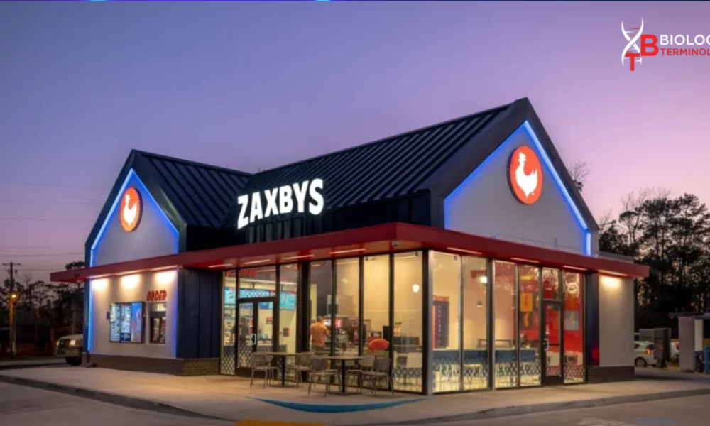 myzaxbysfeedback com