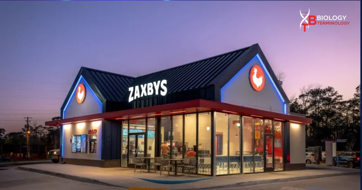 myzaxbysfeedback com