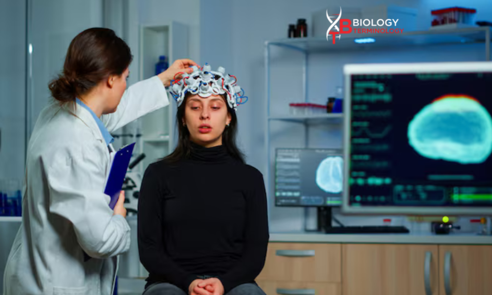 doctorhub360.com neurological diseases