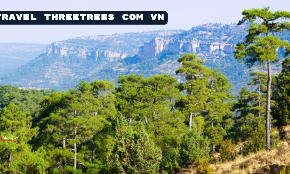 travel threetrees com vn