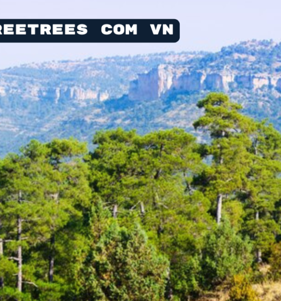 travel threetrees com vn