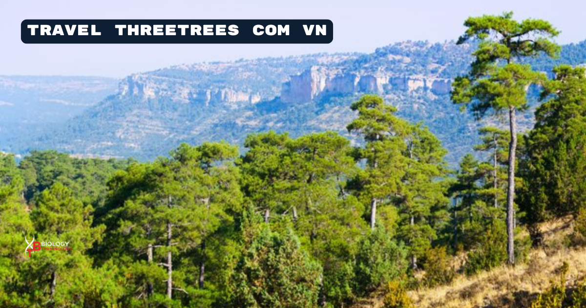 travel threetrees com vn