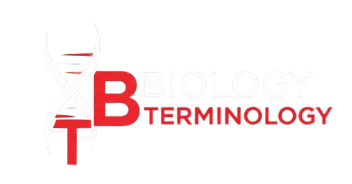 biologyterminology.com