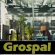 grospal