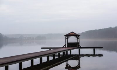 highlights of nummazaki