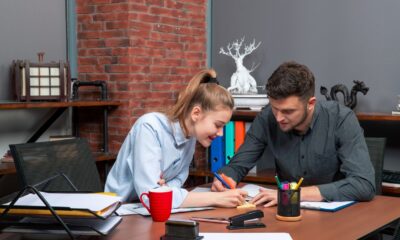 Analytical Essay