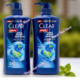 Best Shampoo for Dandruff