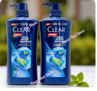 Best Shampoo for Dandruff