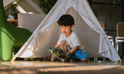 Children Thrive Through Daily Play Habits