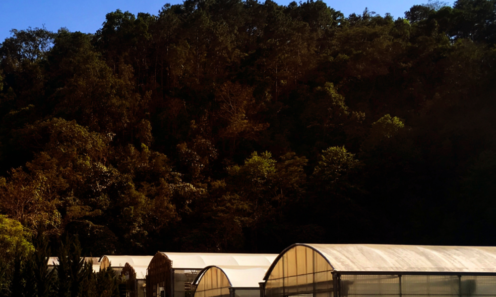 Storage Sheds Brisbane