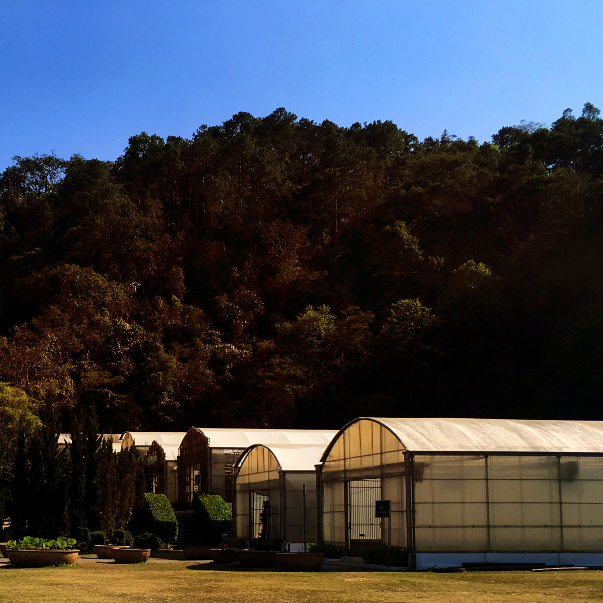 Storage Sheds Brisbane