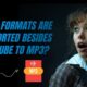 What formats are supported besides YouTube to MP3