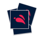 custom square stickers
