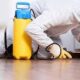 termite control services in Lahore
