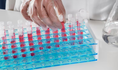 ELISA Testing Kits