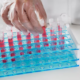 ELISA Testing Kits