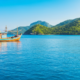 fishing trip in Koh Tao